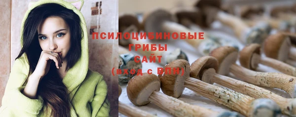 Альфа ПВП Нязепетровск