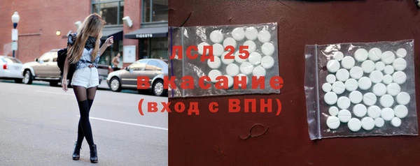 прущие грибы Абаза