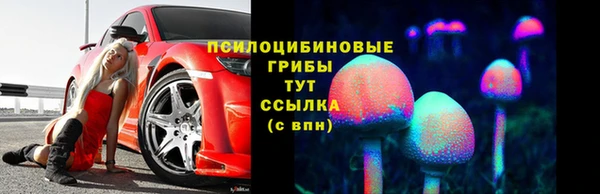 герыч Няндома