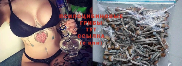герыч Няндома
