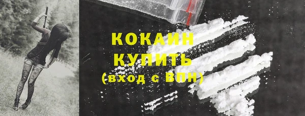 прущие грибы Абаза