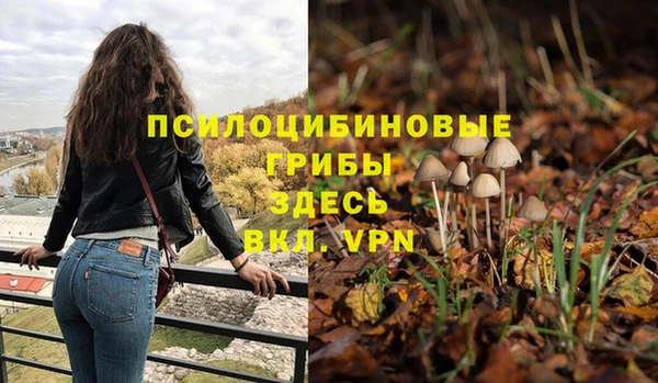 ГАЛЛЮЦИНОГЕННЫЕ ГРИБЫ Алексин