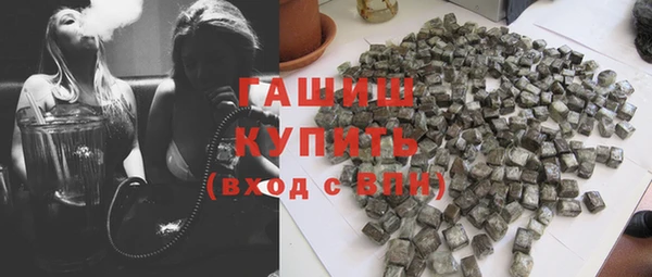 мдпв Краснослободск